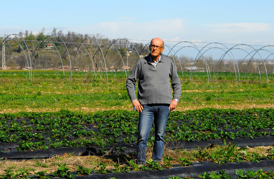 “RADICI – storie di terra” Protezione, sostenibilità e gentilezza in agricoltura: il sovescio