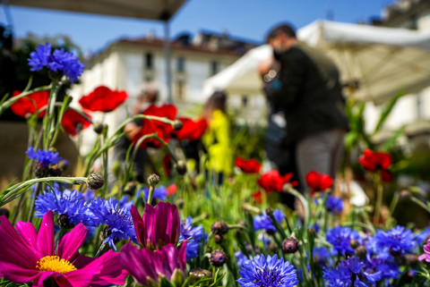 Con Agriflor un piccolo 'assaggio' di natura in attesa dell'appuntamento con Flor