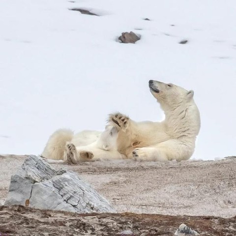 Nizza: l'Artico e i cambiamenti climatici protagonisti di una mostra fotografica