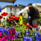 Torino: domenica in piazza Vittorio Veneto torna l'appuntamento con Agriflor