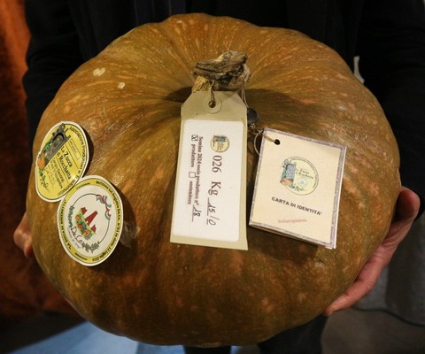 La Zucca di Rocchetta di Cengio in trasferta ad Albissola Marina