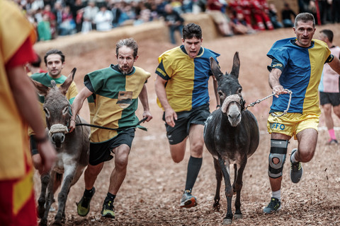 Cocconato d'Asti si prepara per il fine settimana del Palio degli asini