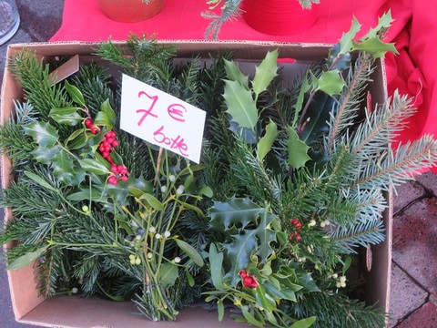 Capodanno, baciamoci sotto il vischio! (Foto)