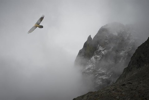 Nizza, le Alpi selvagge nelle fotografie di Robert Forte (Foto)