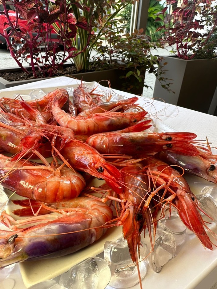 Il ristorante Gànbou a Bordighera è il nuovo indirizzo per gustare il pesce fresco.