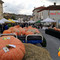 Rocchetta di Cengio (SV): fervono i preparativi per la ventesima edizione di “ZuccaInPiazza”