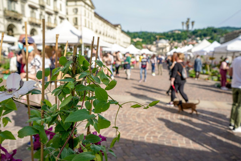 Torino: domenica 22 dicembre l'ultimo appuntamento del 2024 con Agriflor