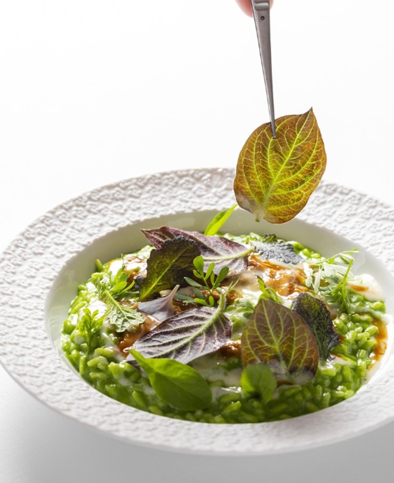 Il Ristorante Nove di Villa della Pergola presenta il nuovo menu vegetariano “Naturalia” in occasione della fioritura degli Agapanti dei Giardini