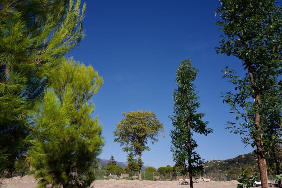 Nizza, piantumati i primi alberi del futuro Grand Parc de la Plaine du Var