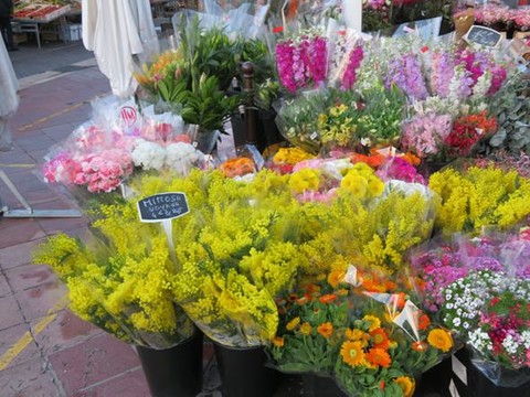 Come conservare le mimose con i consigli dei fiorai di Cours Saleya