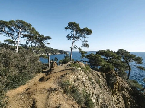 In Provenza l’inverno è dolce. Le proposte dell'Ufficio del Turismo